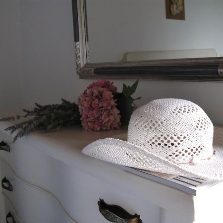 Agriturismo Renai E Monte กัมบาสซี แตร์เม ภายนอก รูปภาพ